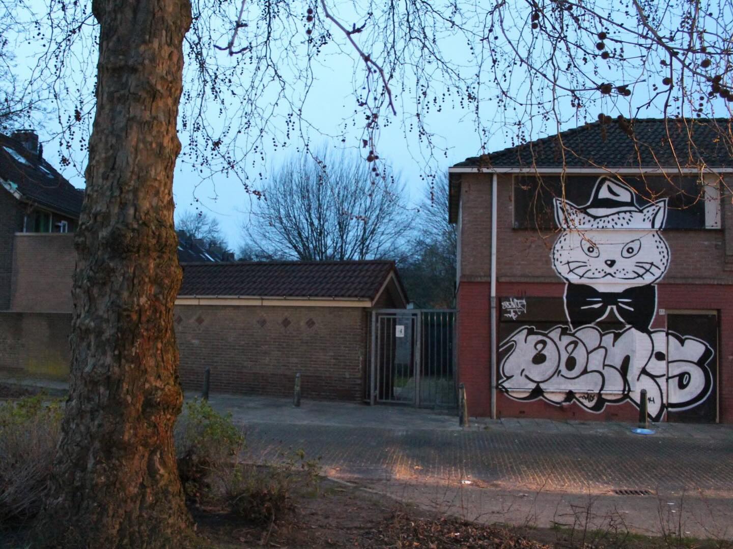 A large painted Gato from 2014 in its urban setting