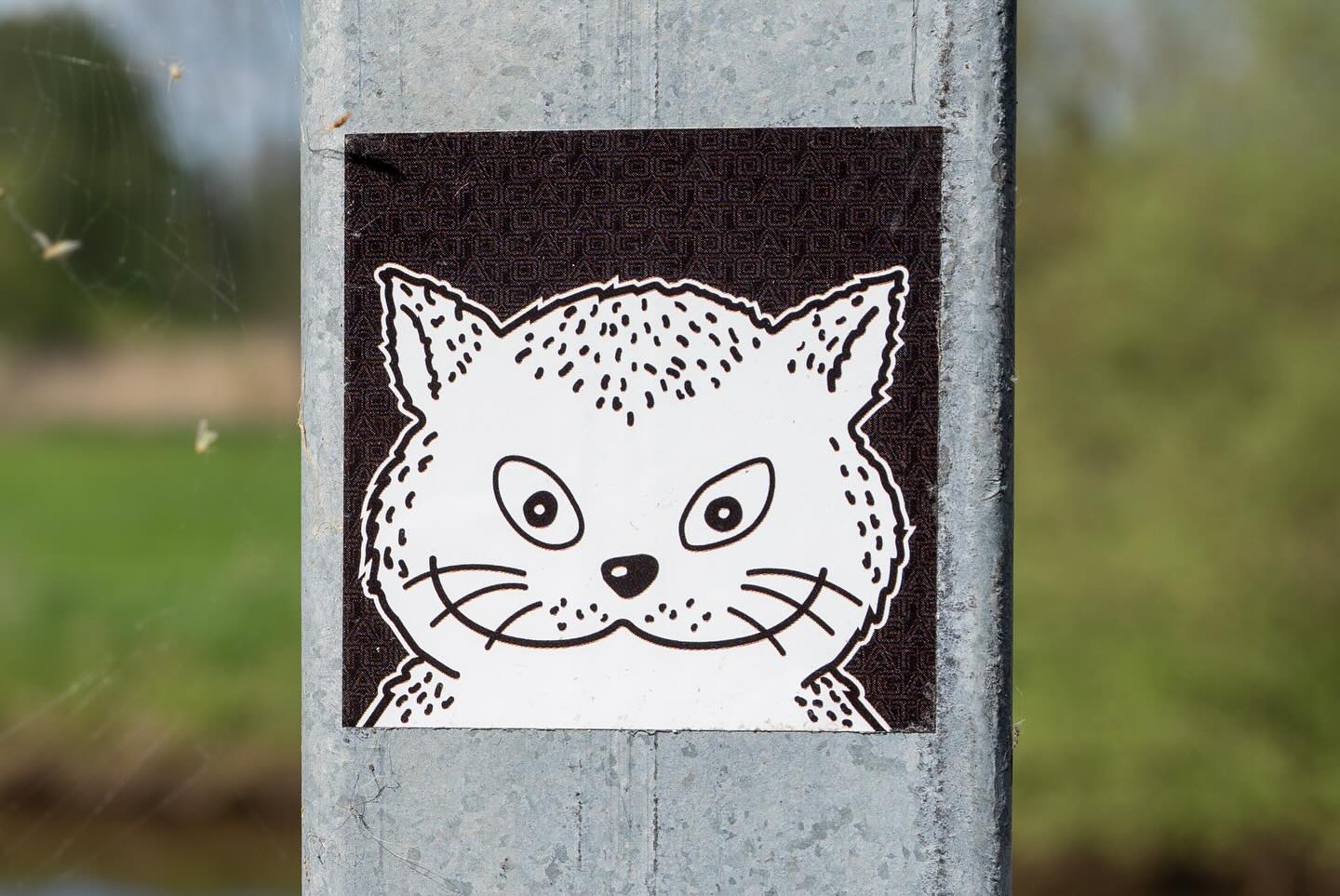 A small Gato sticker on a post surrounded by greenery
