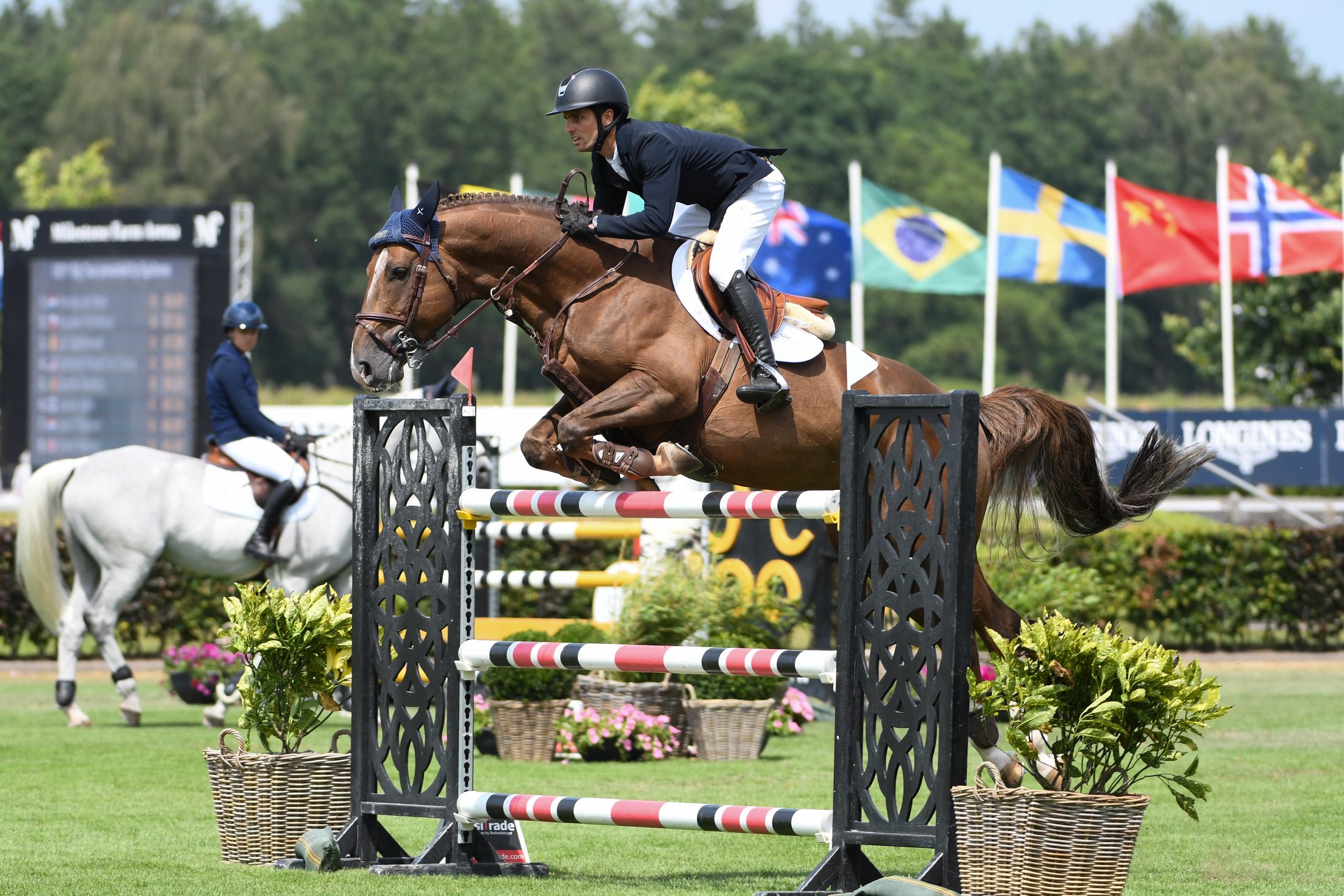 Equestrian sports photograph by Frank van de Ven