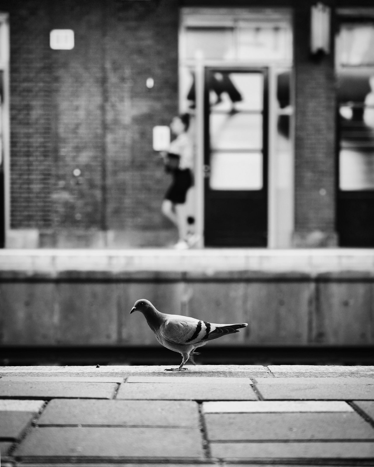 Example of Paul’s observational street photography
